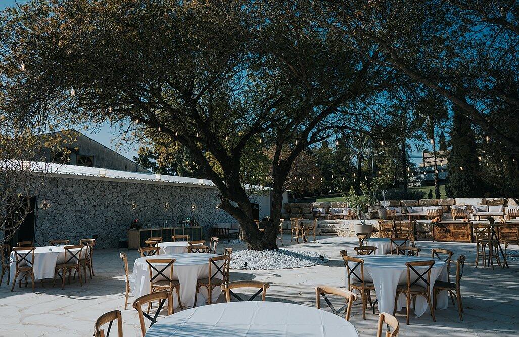 חצר העמק צפון  7  לופט 4 יו