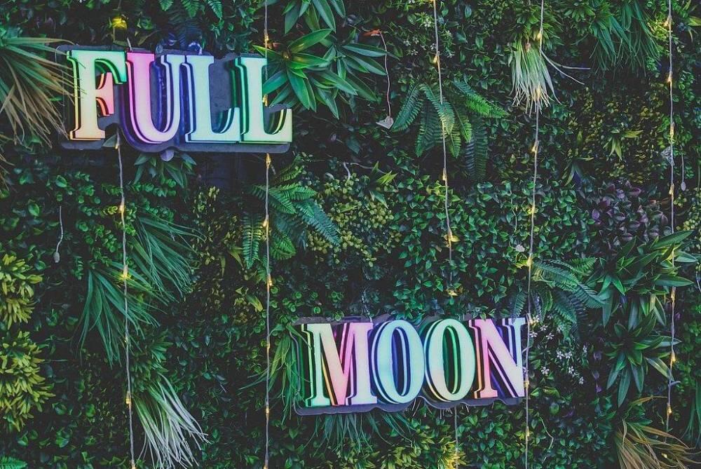 אלמאגו רוף תל אביב מרכז  37  לופט 4 יו