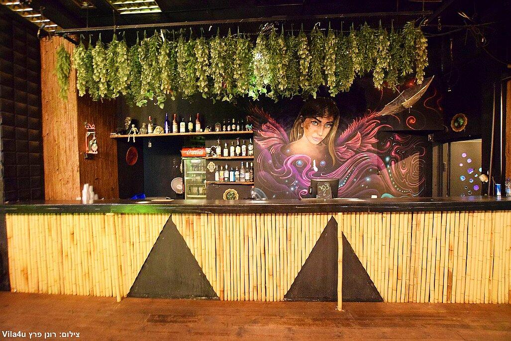 ג'סיקה איוונסט מרכז  11  לופט 4 יו