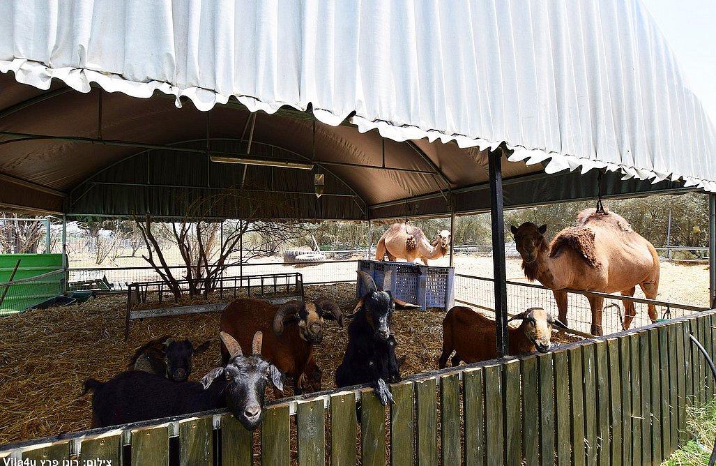 גארדן גולדן -  Garedn Golden מרכז  14  לופט 4 יו